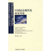 中国民法现代化研究导论