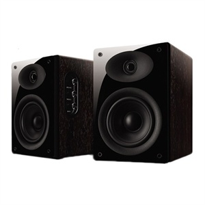 【当当自营】HiVi 惠威 音箱 D1010MK II 08版（木色）