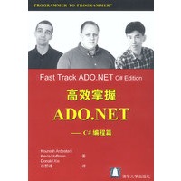 高效掌握ADO.NET:C#编程篇