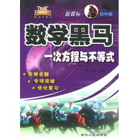 新课标初中版数学黑马——一次方程与不等式