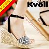 65�ؼ�KVOLL
