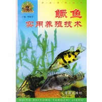 鳜鱼实用养殖技术“帮你一把富起来”农业科技丛书