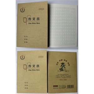 维克多利小作文本36K20页20本一装