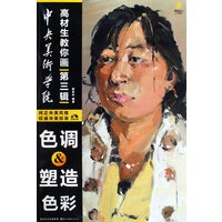 高材生教你画第三辑色调 塑造色彩（附光盘）