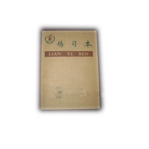 维克多利小单线练习本36K20页20本一装