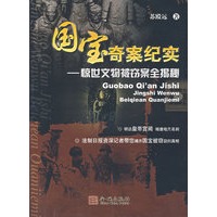 国宝奇案纪实