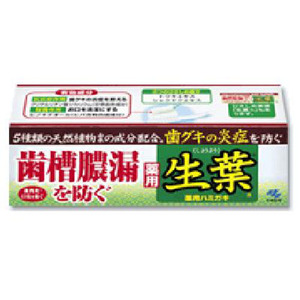 日本小林 生叶收敛温和型牙膏100g
