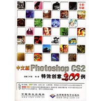 中文版Photoshop CS2特效创意200例(附光盘)