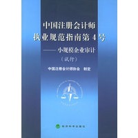 中国注册会计师执业规范指南.第4号，小规模企业审计