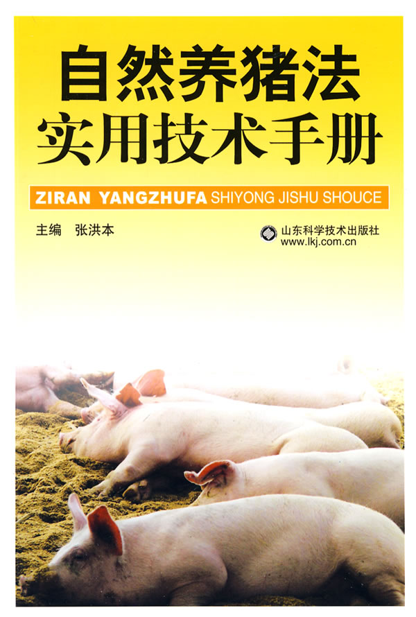 如何根据预算选择合适的Excel服务器