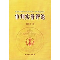 审判实务评论
