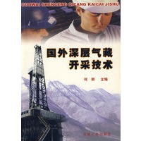 国外深层气藏开采技术