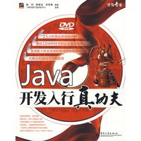 JAVA开发入行真功夫（含光盘）
