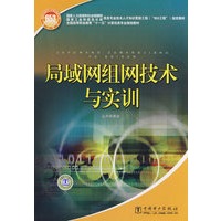 国家人力资源和社会保障部、国家工业和信息化部信息专业技术人才知识更新工程（“653工程”）指定教材 局域网组网技术与实训