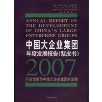 &中国大企业集团年度发展报告.紫皮书(2007)