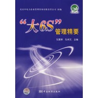“大6S”管理精要