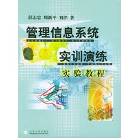 管理信息系统实训演练实验教程
