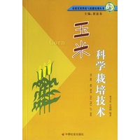 玉米科学栽培技术