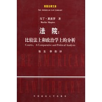 法院：比较法上和政治学上的分析（美国法律文库）