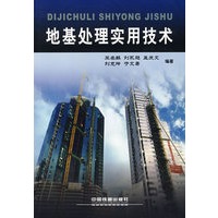地基处理实用技术