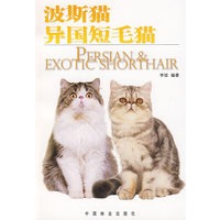 波斯猫、异国短毛猫
