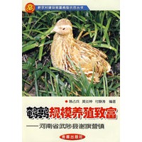 鹌鹑规模养殖致富——河南省武陟县谢旗营镇