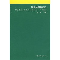 镜中的孤独迷宫