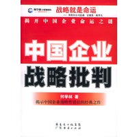 中国企业战略批判
