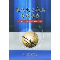 现代电力企业营销实务