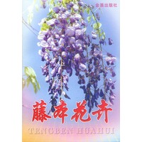 藤本花卉