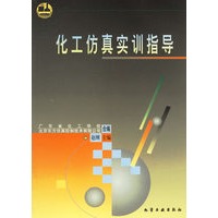 化工仿真实训指导