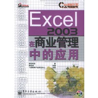 Excel2003在商业管理中的应用（含CD-ROM）——职业塑身计划