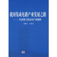 我国集成电路产业发展之路:从消费大国走向产业强国