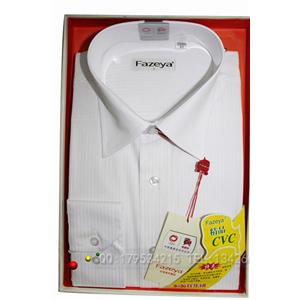 2011款 恒源祥 Fazeya 男款 正装衬衫 衬衣长袖衬衫 b2l0086