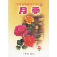 月季