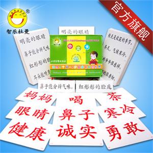 智乐杜曼闪卡 识字卡片 全脑识字宝盒中文卡632