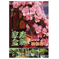 家庭盆栽轻松种（全彩）