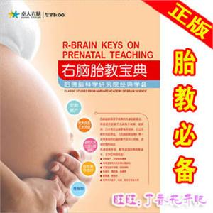 早教胎教 卓人右脑胎教宝典 最专业的早教用具 2011年最新版