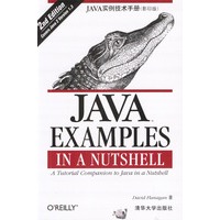JAVA实例技术手册（影印版）