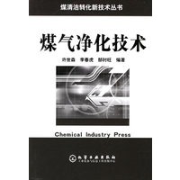 煤气净化技术/煤清洁转化新技术丛书