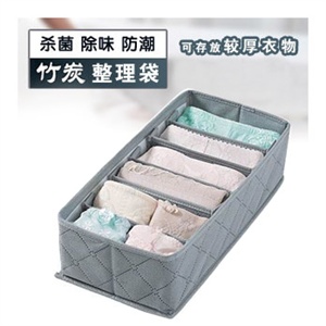 新年礼品 收纳家居/收纳整理 竹炭分隔内衣整理盒5.5L 小号-06