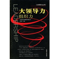大领导力：组织力