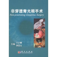 非穿透青光眼手术
