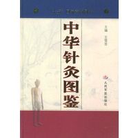 中华针灸图鉴