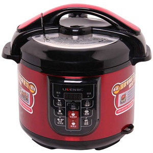 Liren/利仁 DNG-5000C