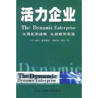 活力企业：从混乱到战略，从战略到实施
