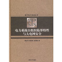 电力系统自组织临界特性与大电网安全（现代电力系统丛书）