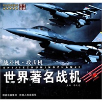 世界著名战机战斗机攻击机