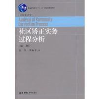 社区矫正实务过程分析（第二版）