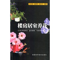楼房居室养花